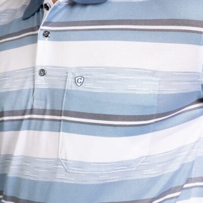 Polo Striped Shirts