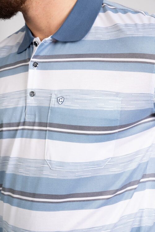 Striped Polo shirts