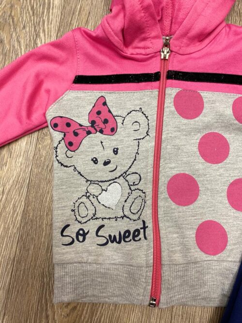 Baby’s 3piece teddy print long sleeve top , hooded zipper leggings